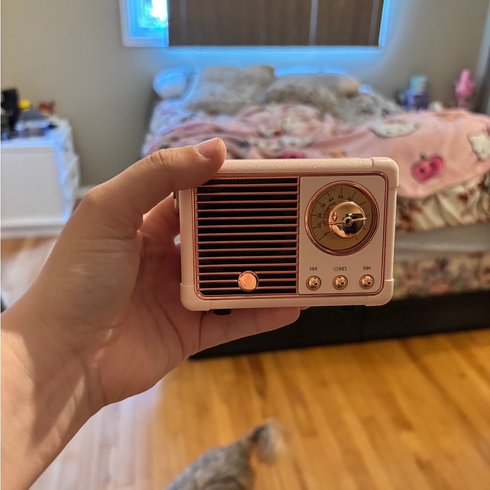 Retro Pink Portable Bluetooth Speaker